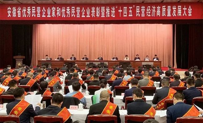 安徽表彰100位优秀民营企业家和100家优秀民营企业